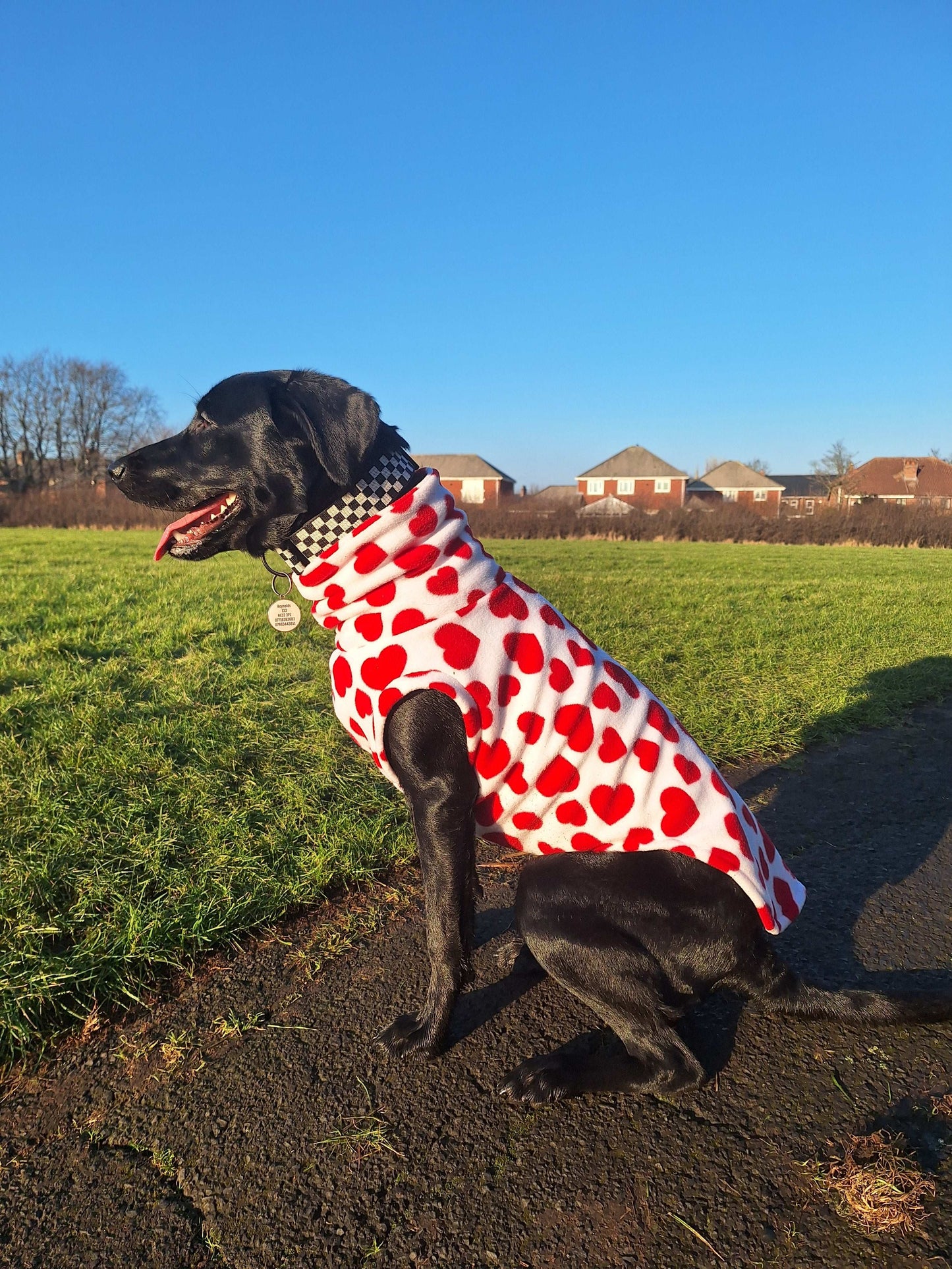Small Dog Tankie Fleece