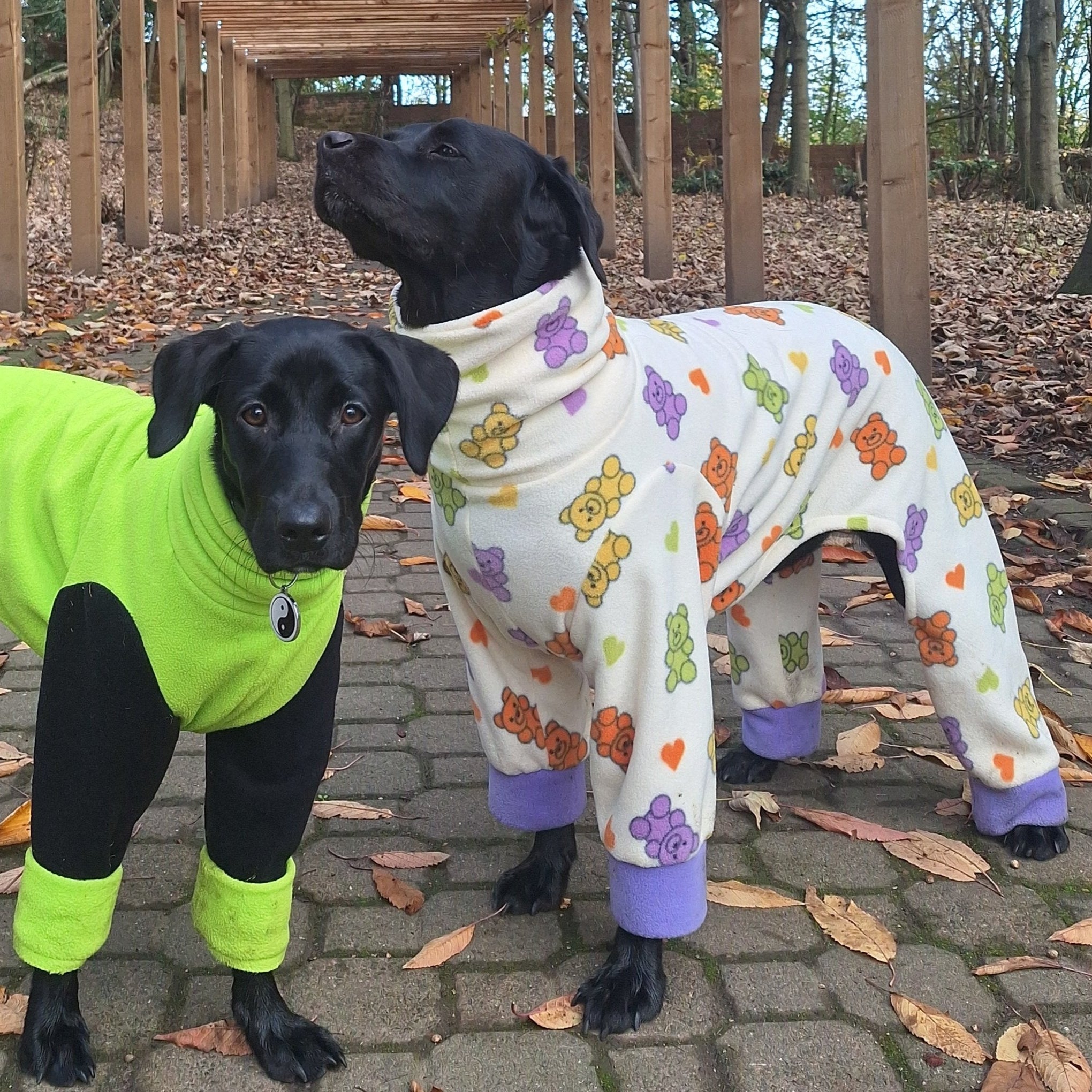 Small Dog Four Leg Water Resistant Dog Fleece