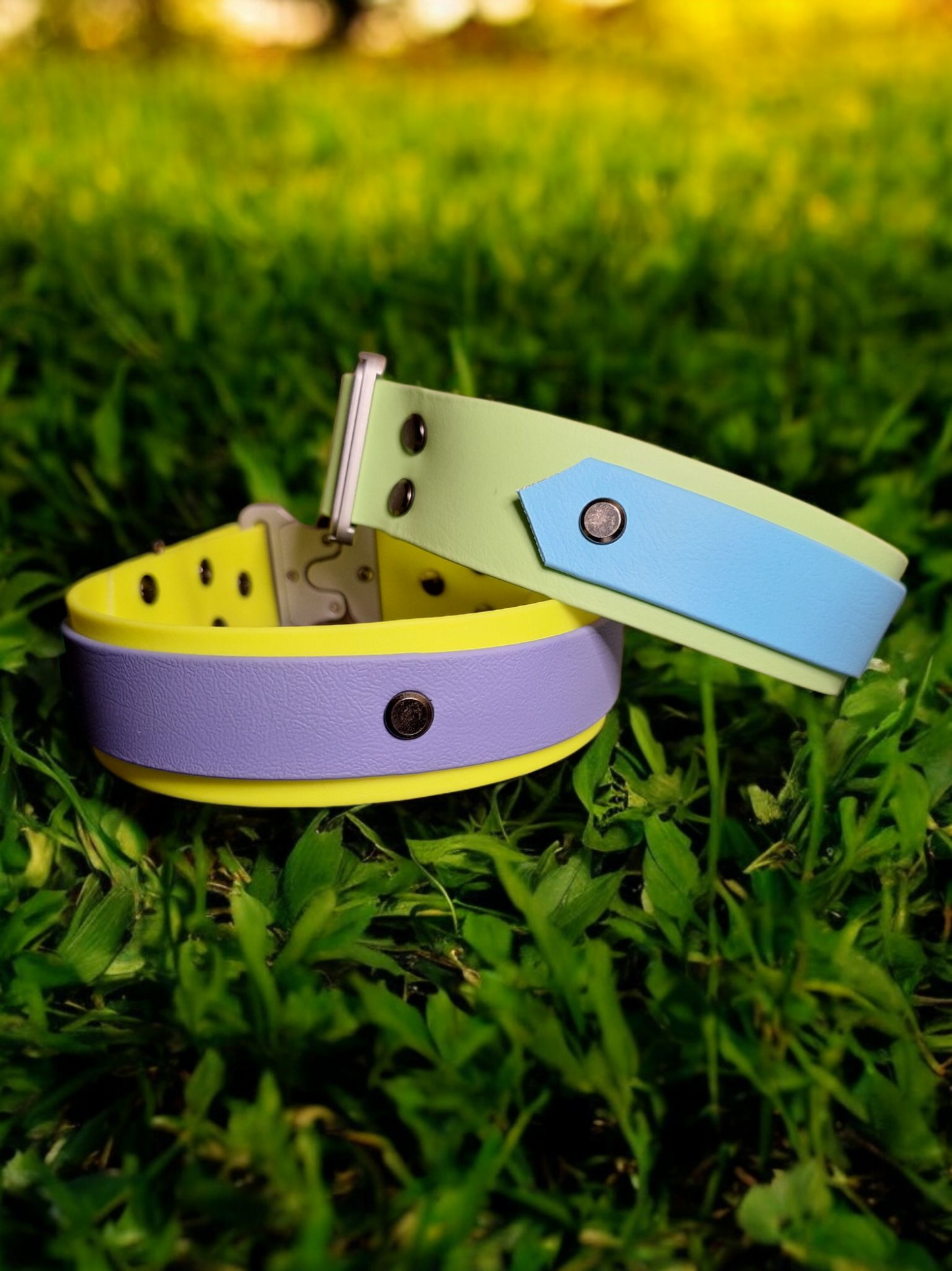 38MM 2 Layer Biothane Collar