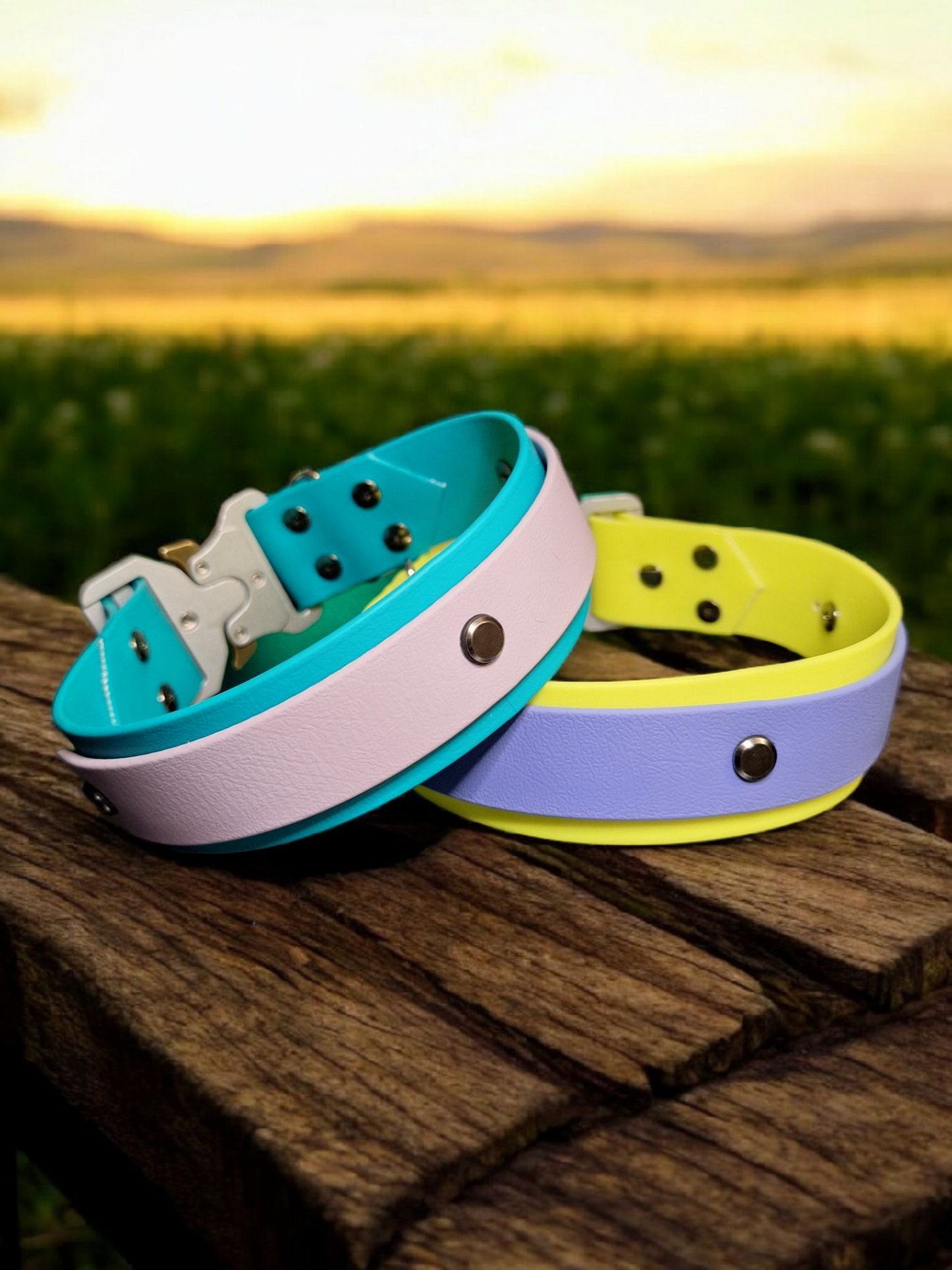 38MM 2 Layer Biothane Collar