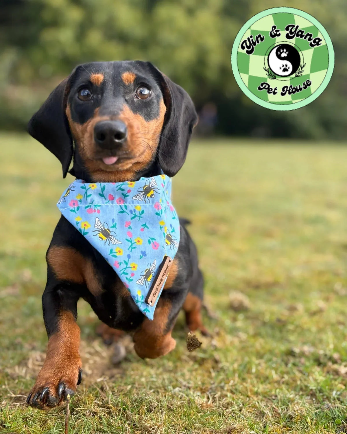 All Bandanas