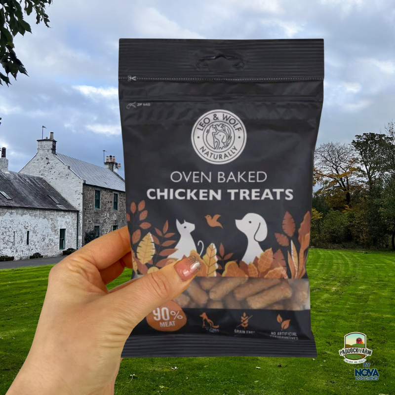 Leo & Wolf Chicken Treats 100g