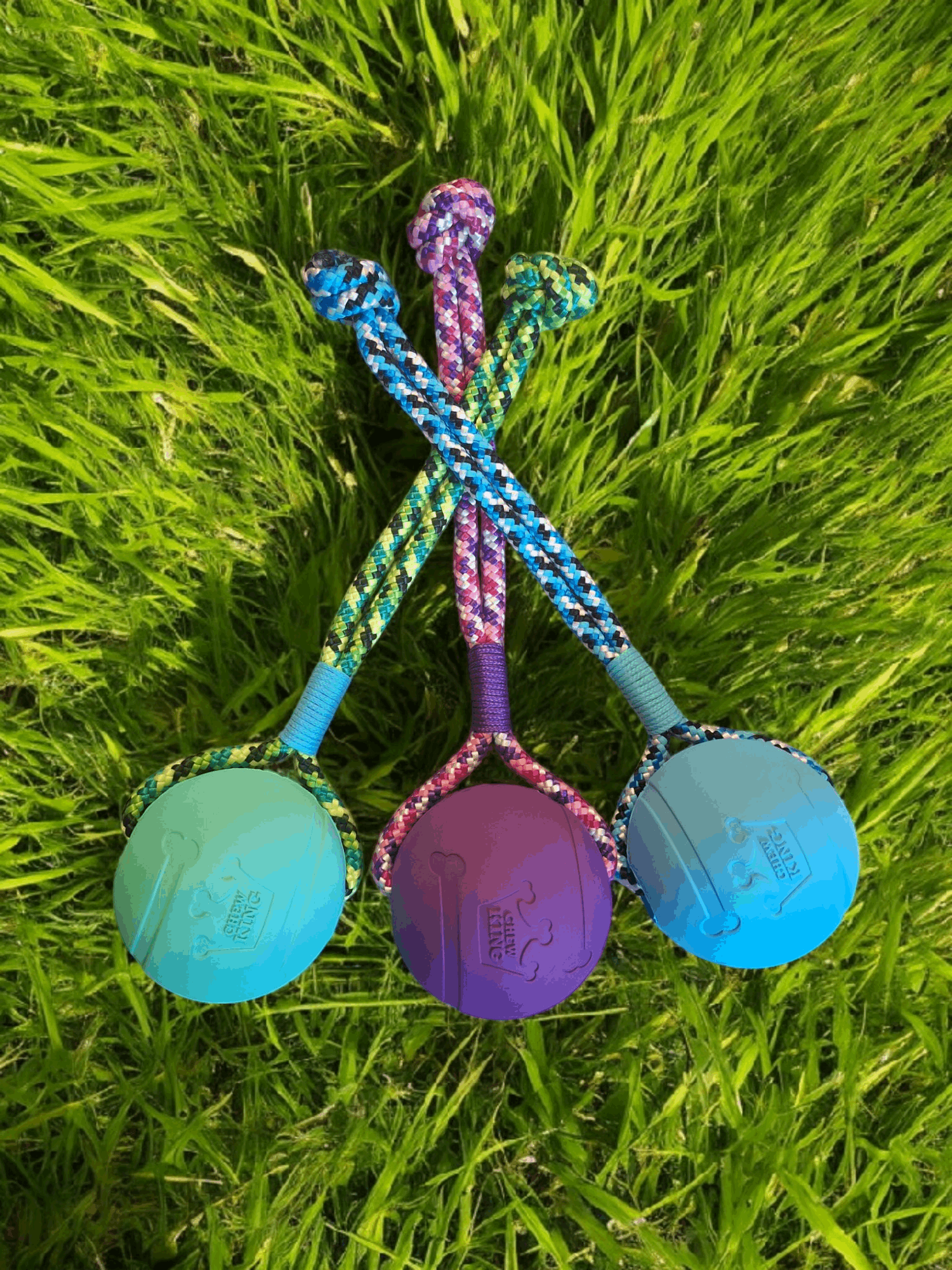 Tug & Fetch Ball