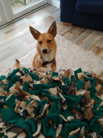 Small Snuffle Mat