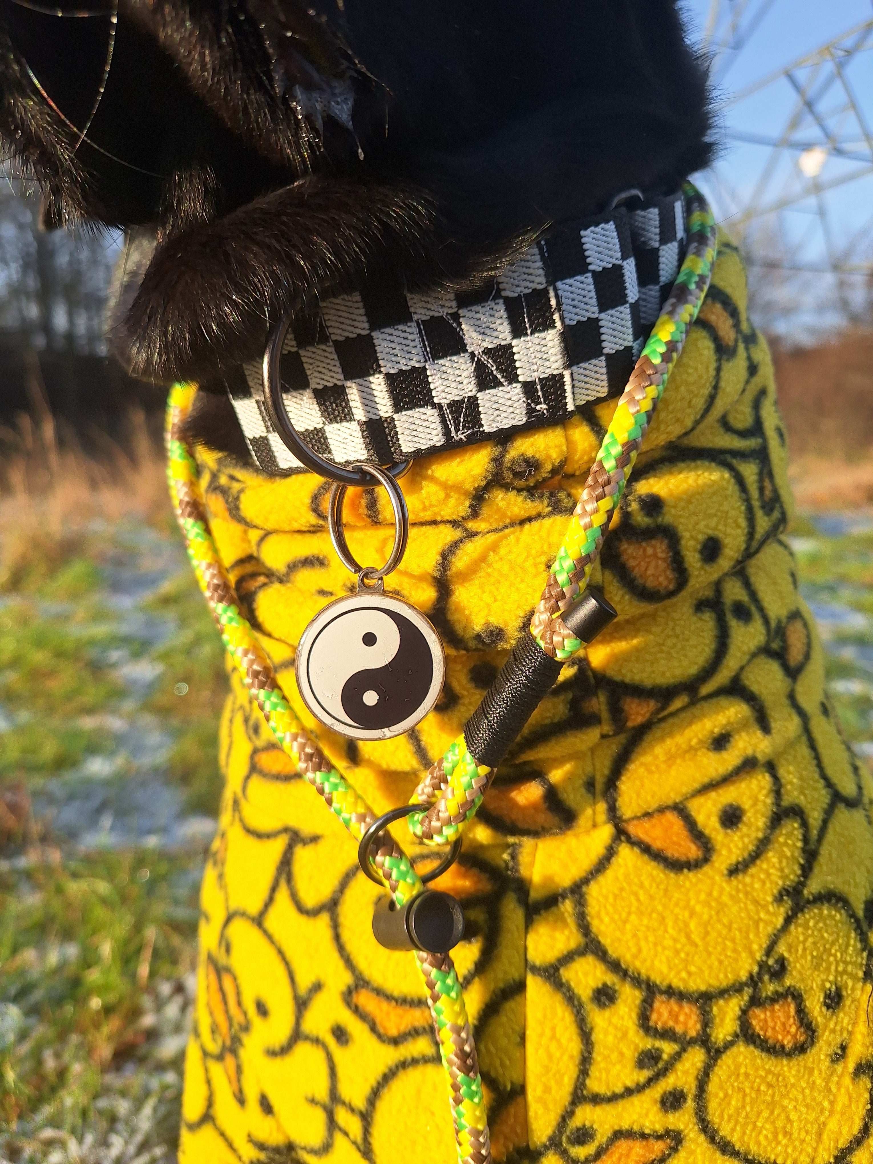 8MM Paracord Dog Lead