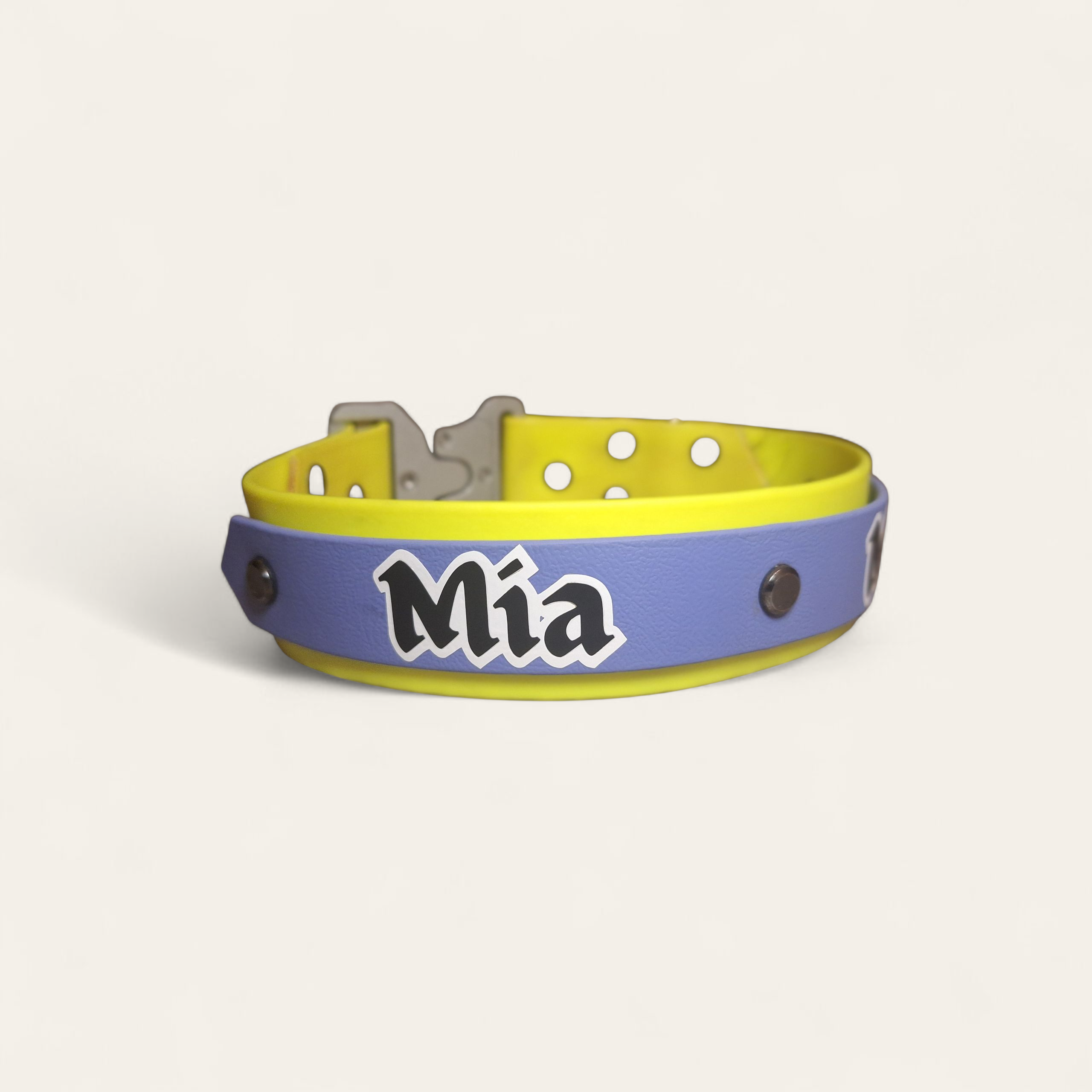 Personalised Name Biothane Collar Addon