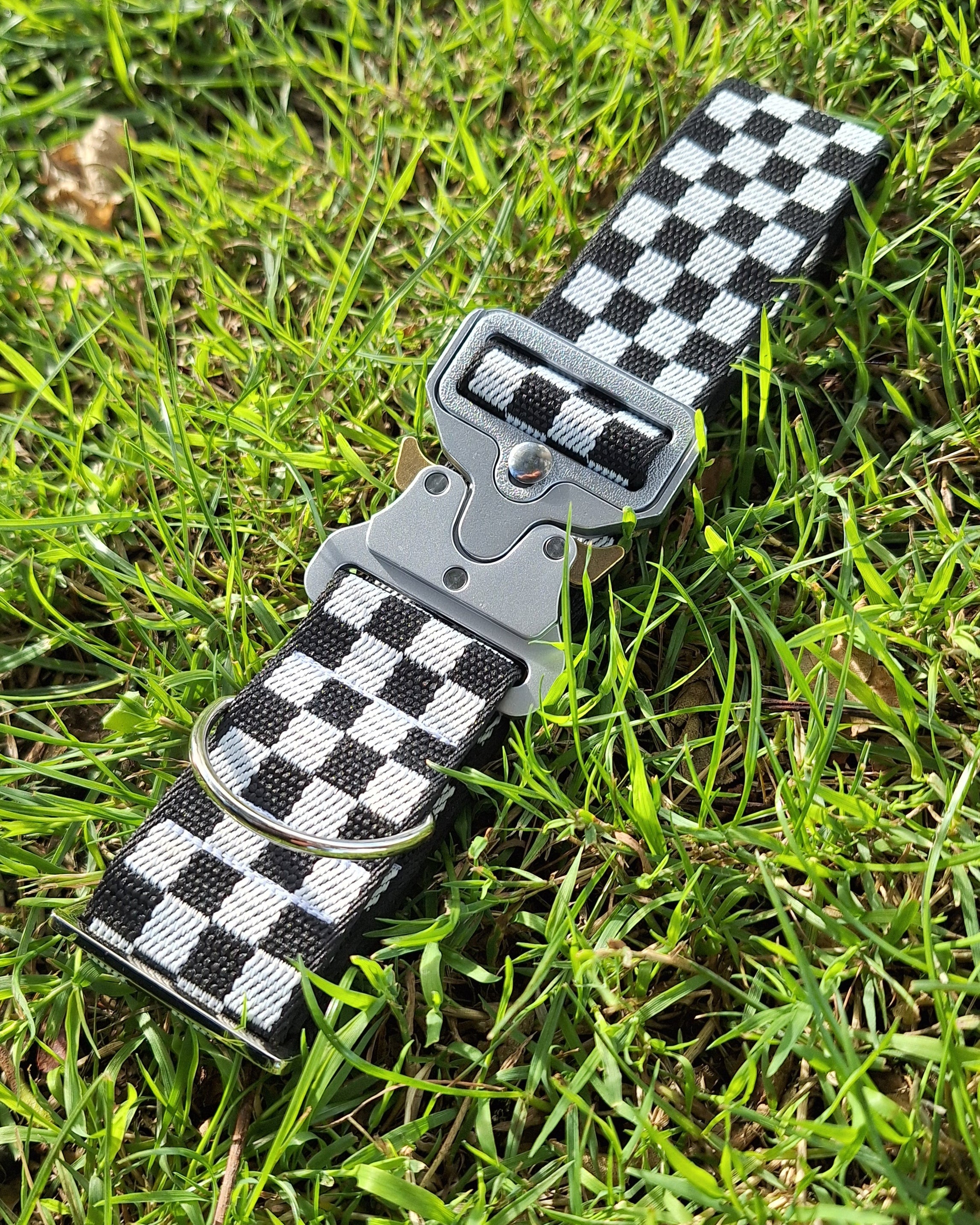 Checkerboard Weaved 38MM Collar
