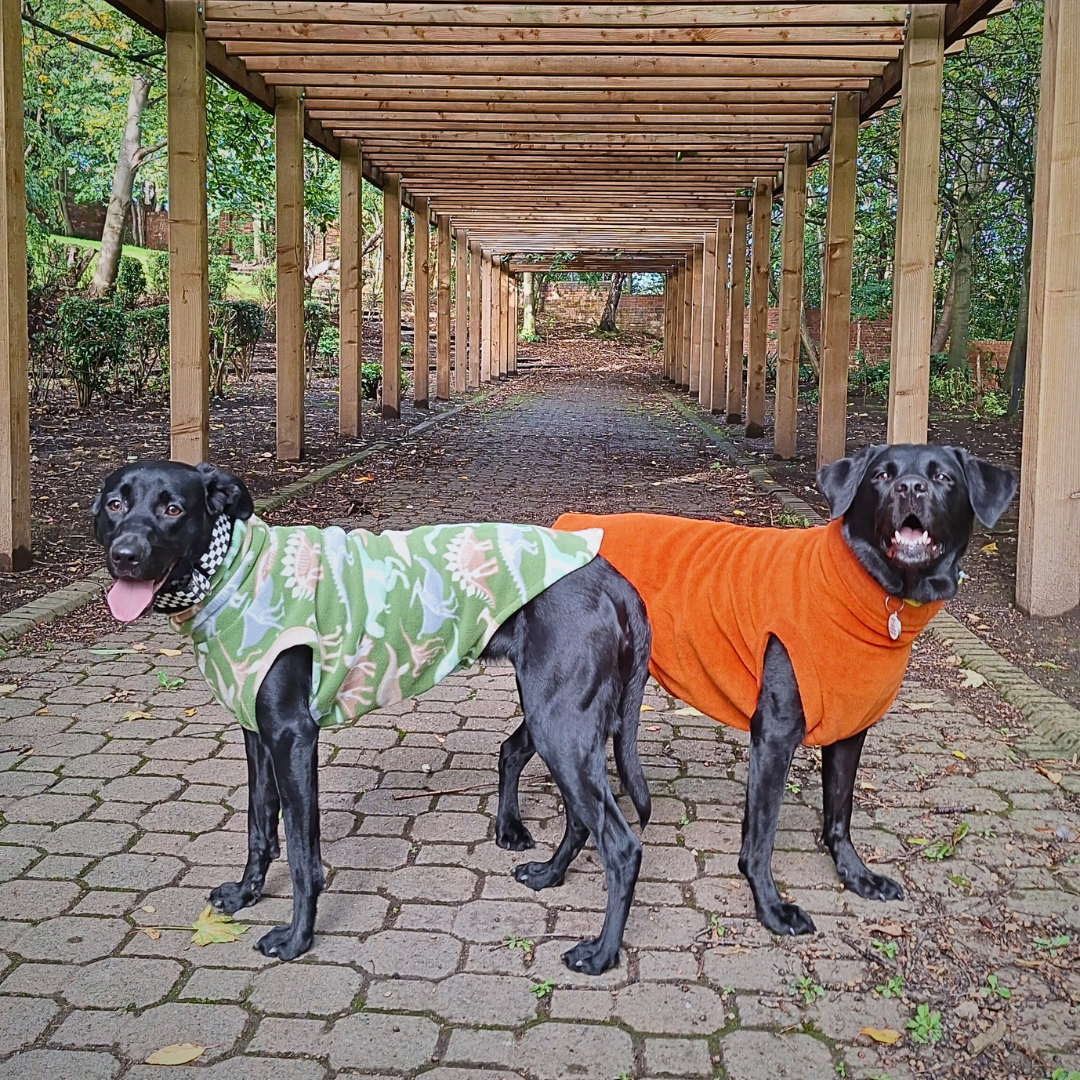 Large Dog Tankie Fleece