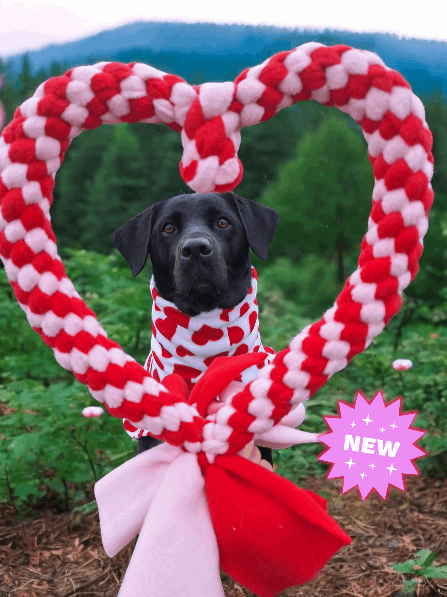 XL Heart Tug Toy