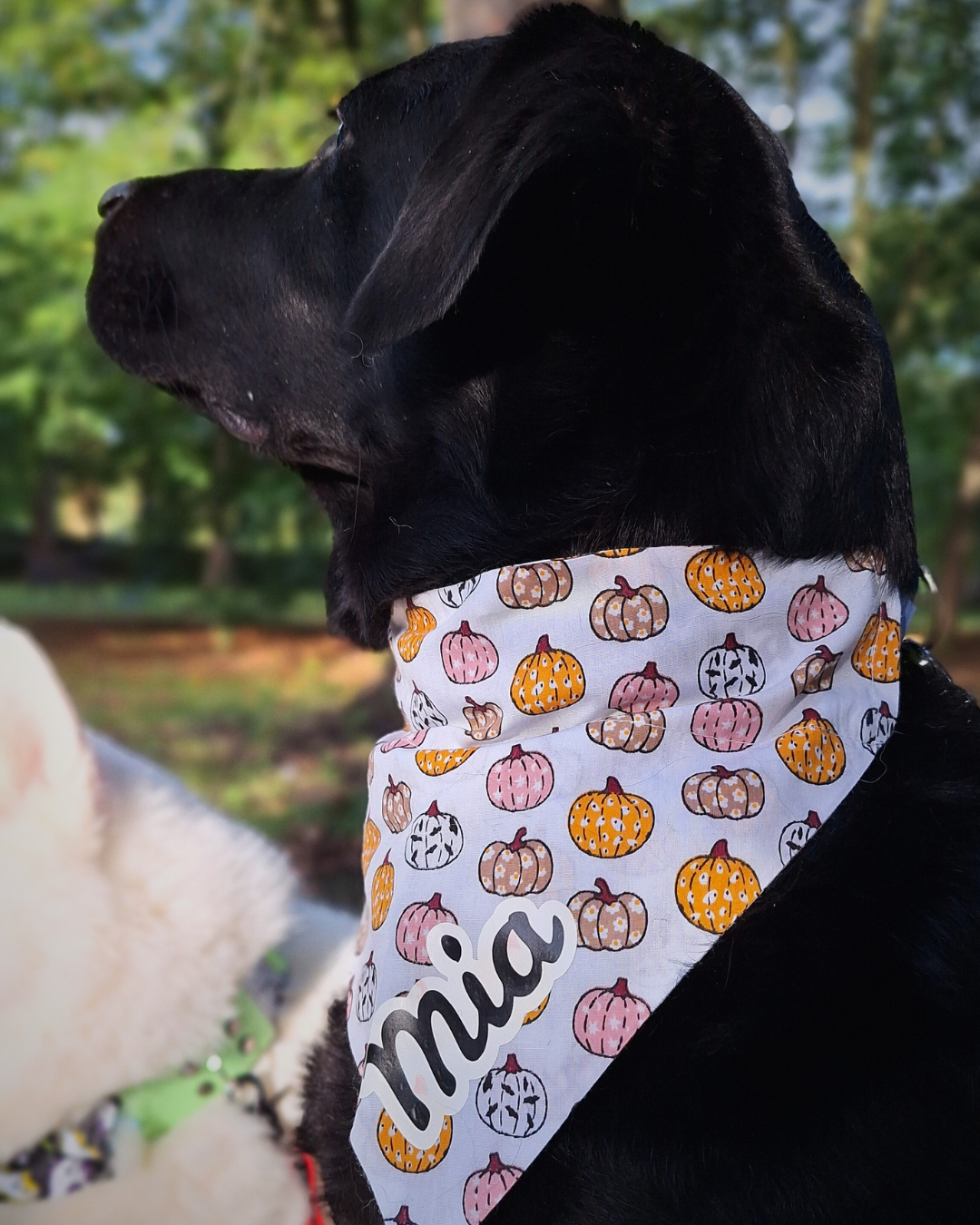 Personalised Name Bandana Addon