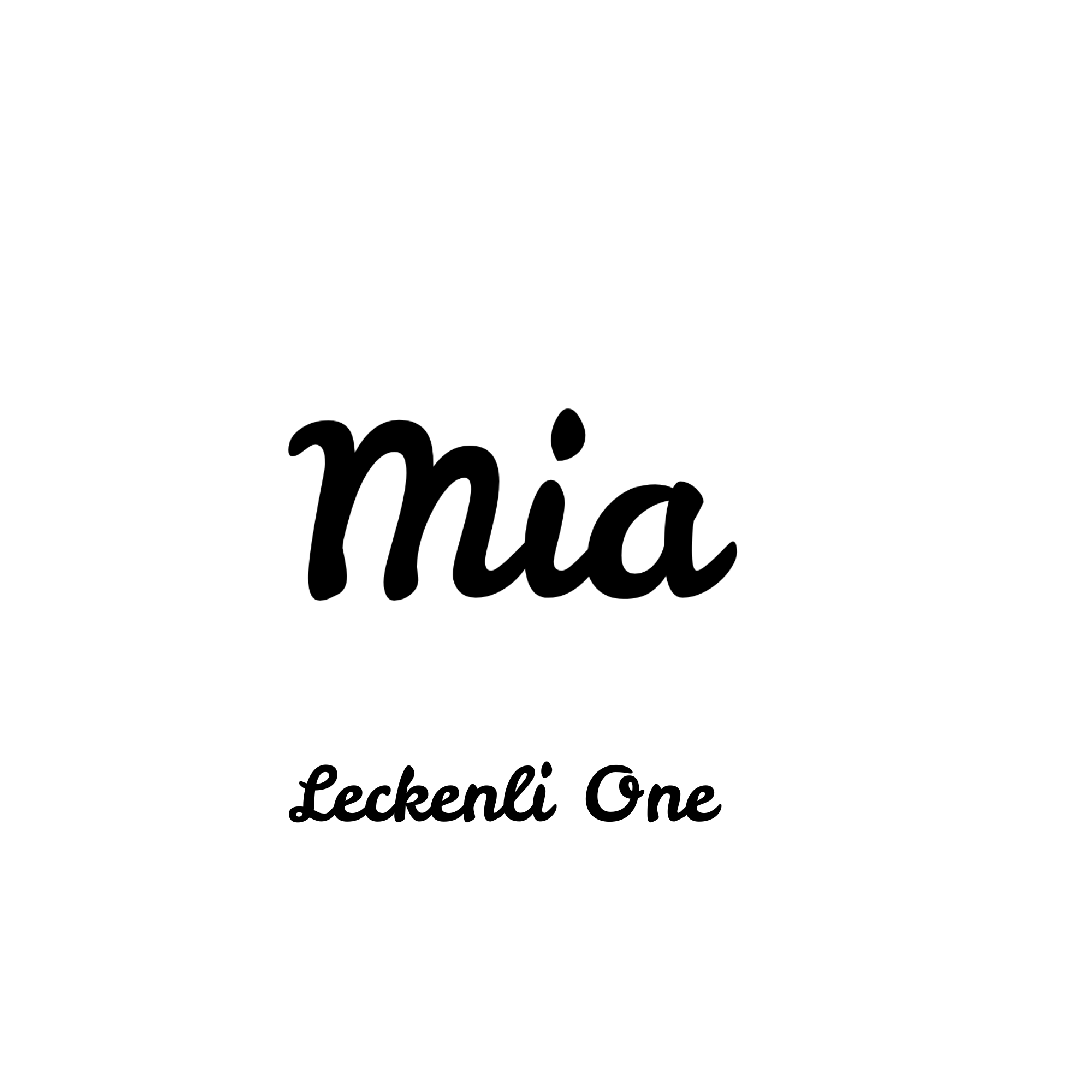 Personalised Name Biothane Collar Addon