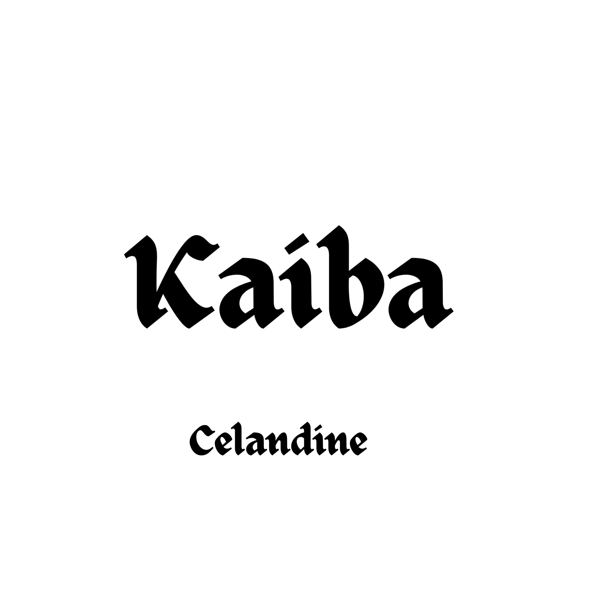 Personalised Name Biothane Collar Addon