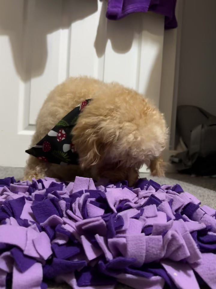 Large Snuffle Mat - Printed Fleece