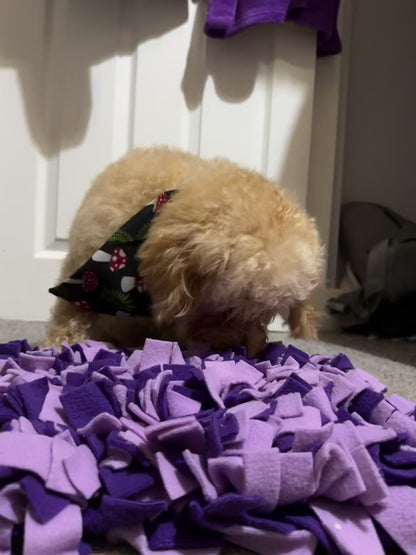 Large Snuffle Mat