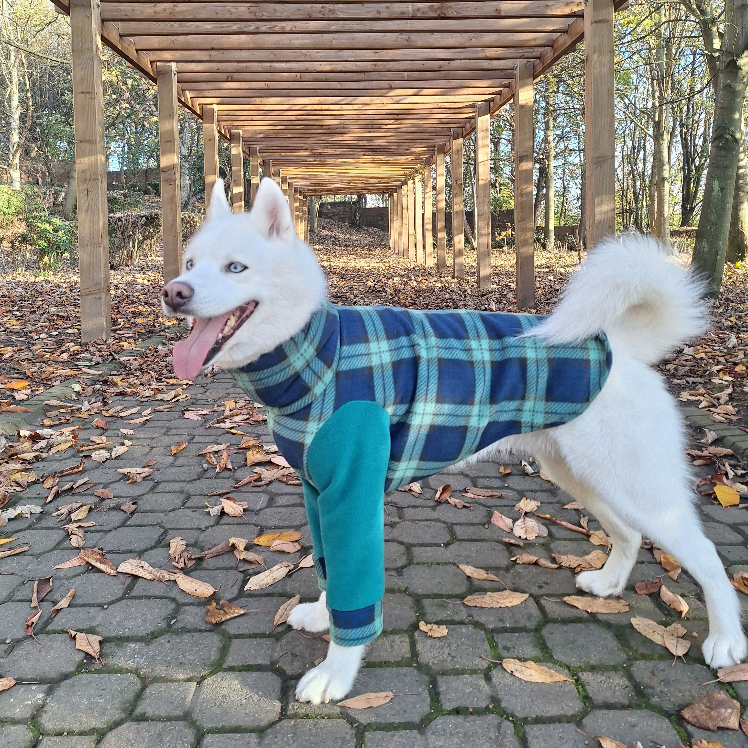 Large Dog Two Leg Water Resistant Dog Fleece