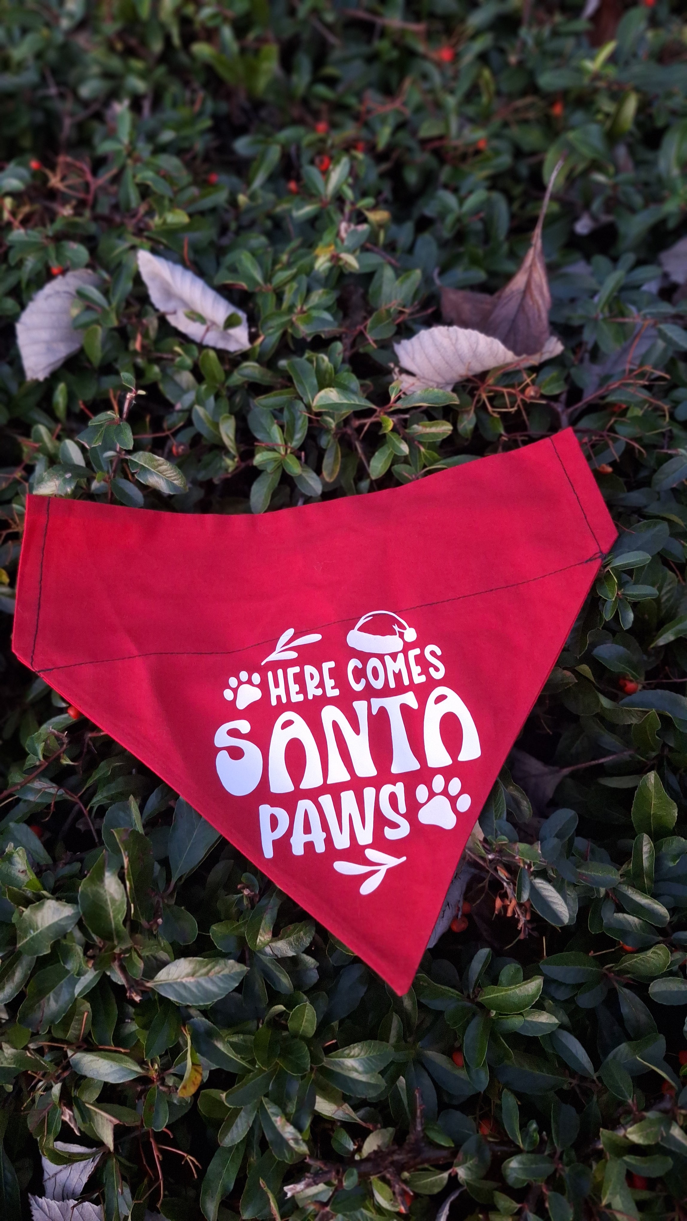 Here Comes Santa Paws Bandana