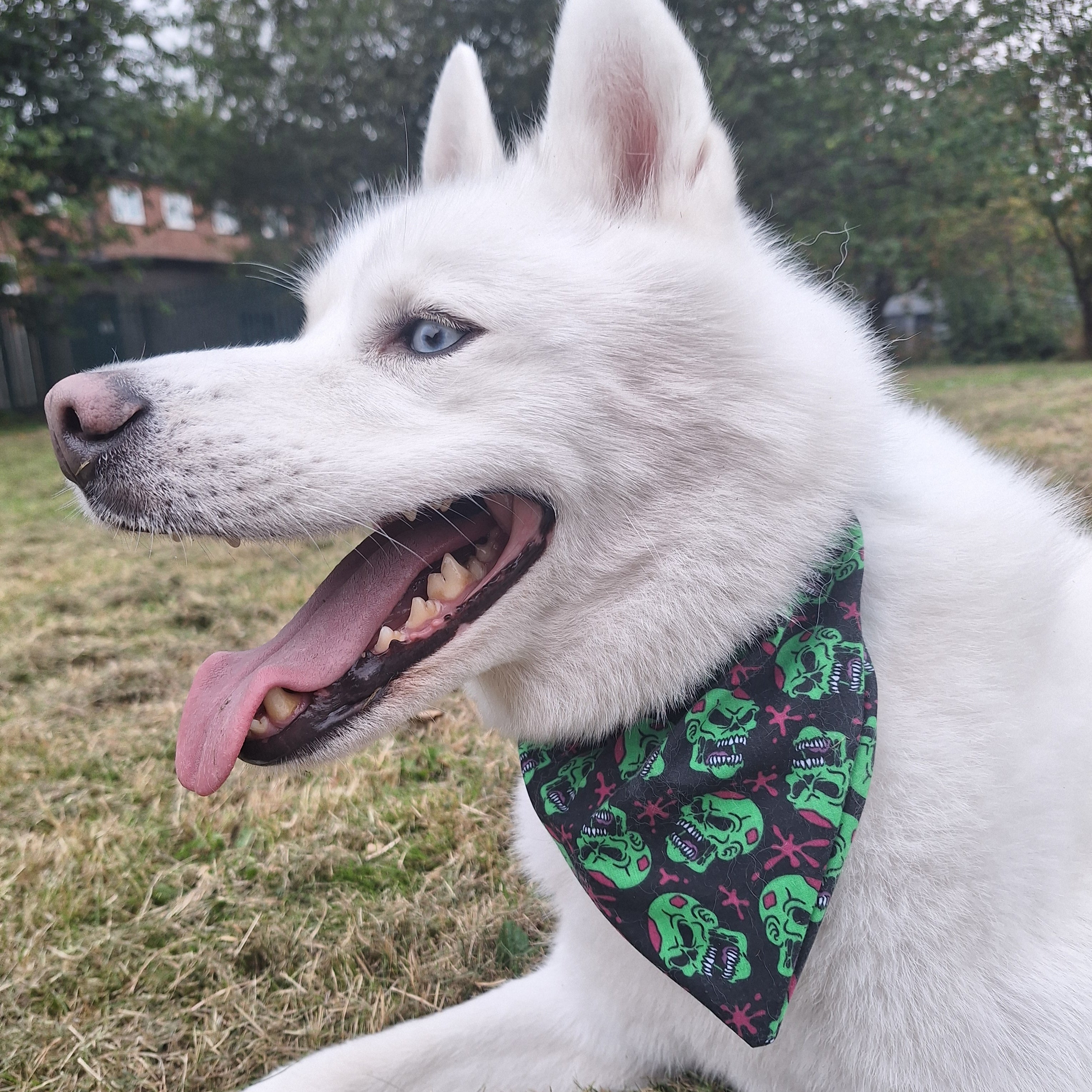 Skull Splatter Bandana