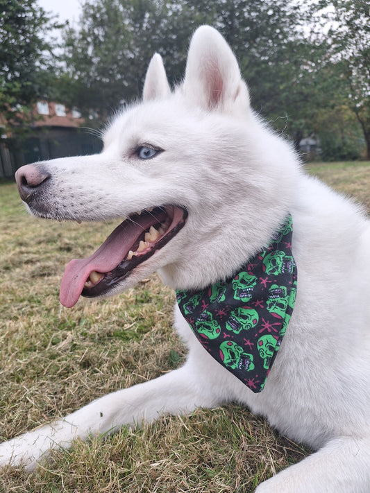 Skull Splatter Bandana