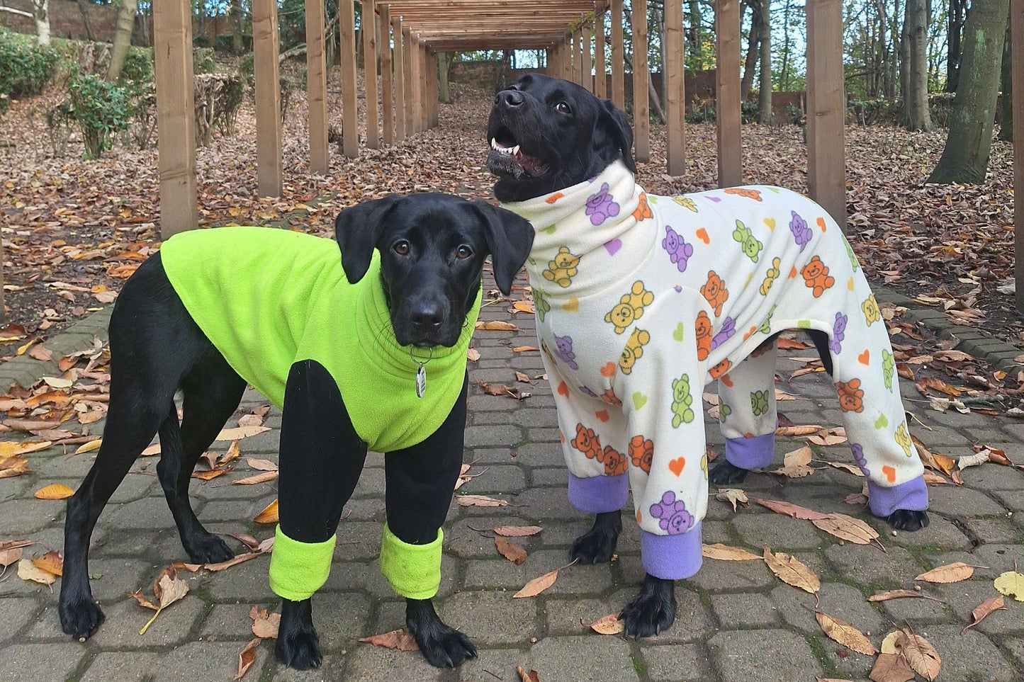 Four Leg Water Resistant Dog Fleece