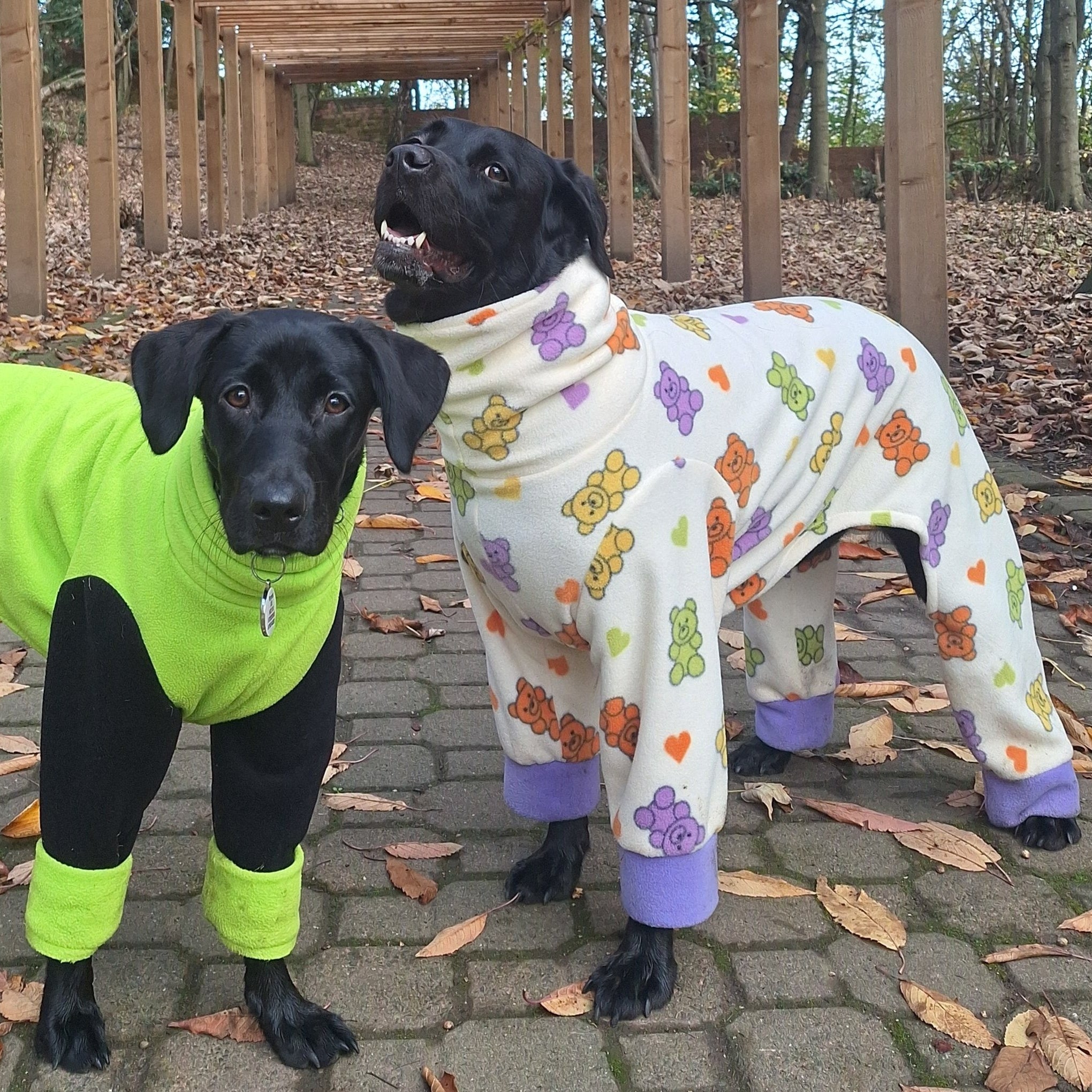Large Dog Four Leg Water Resistant Fleece