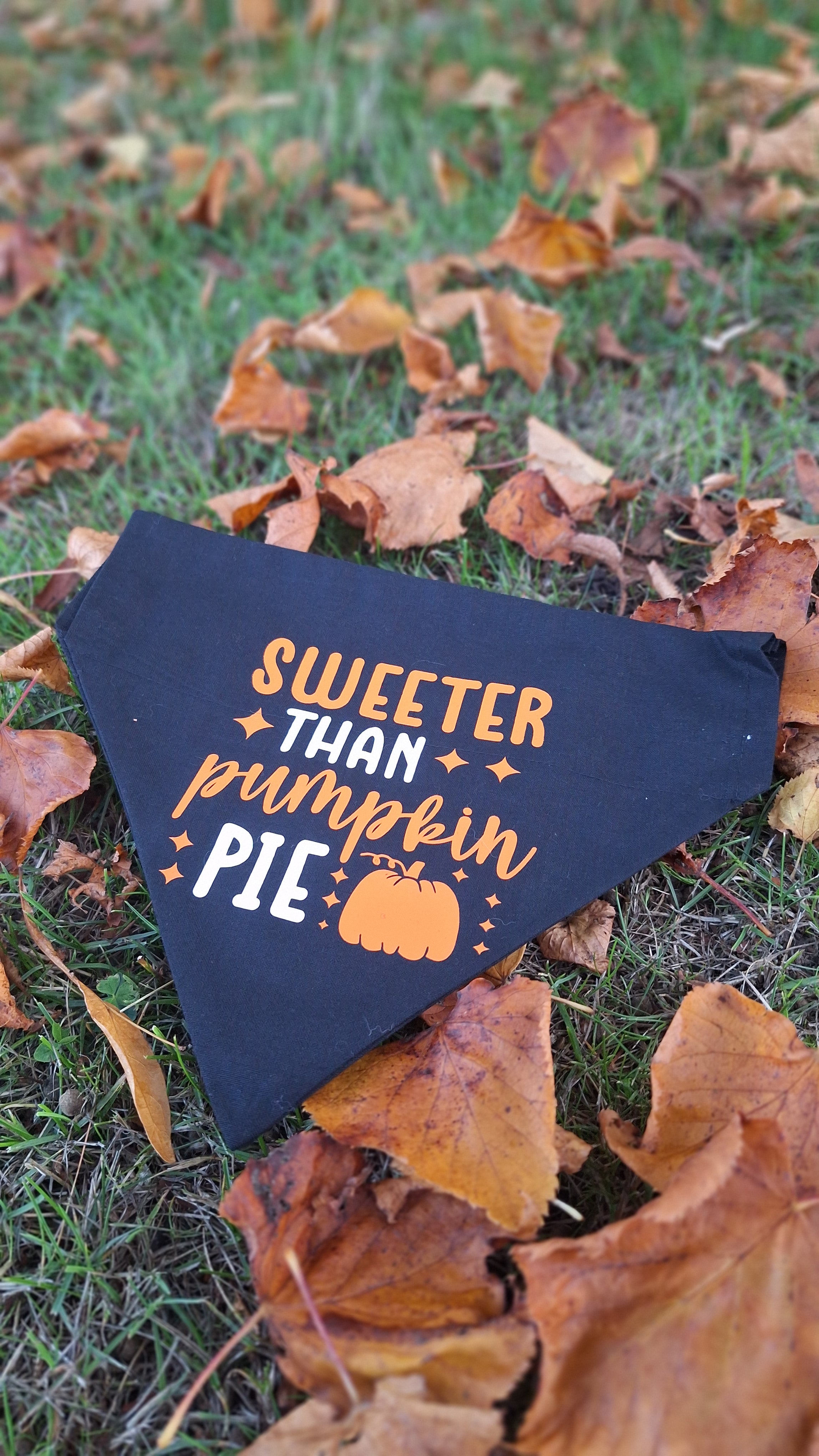 Sweeter Than Pumpkin Pie Bandana
