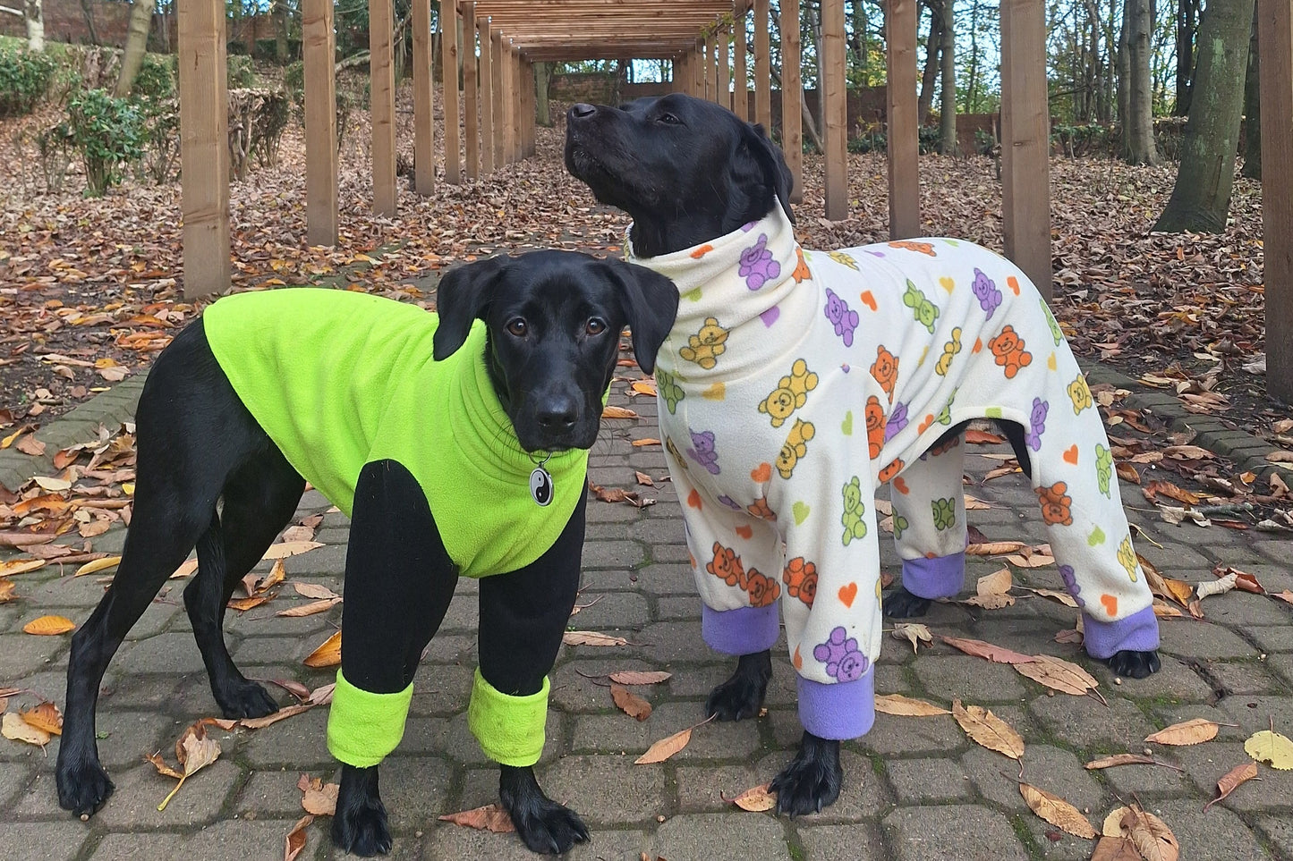 Four Leg Water Resistant Dog Fleece