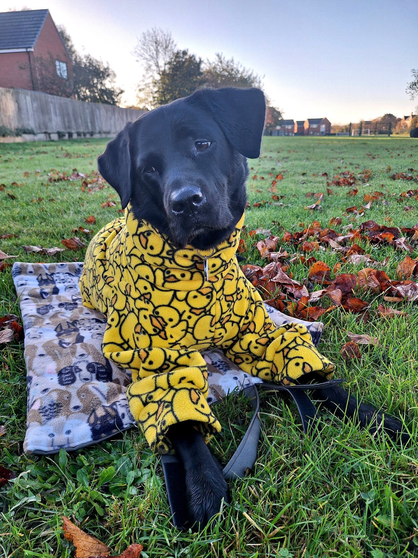 Four Leg Water Resistant Dog Fleece