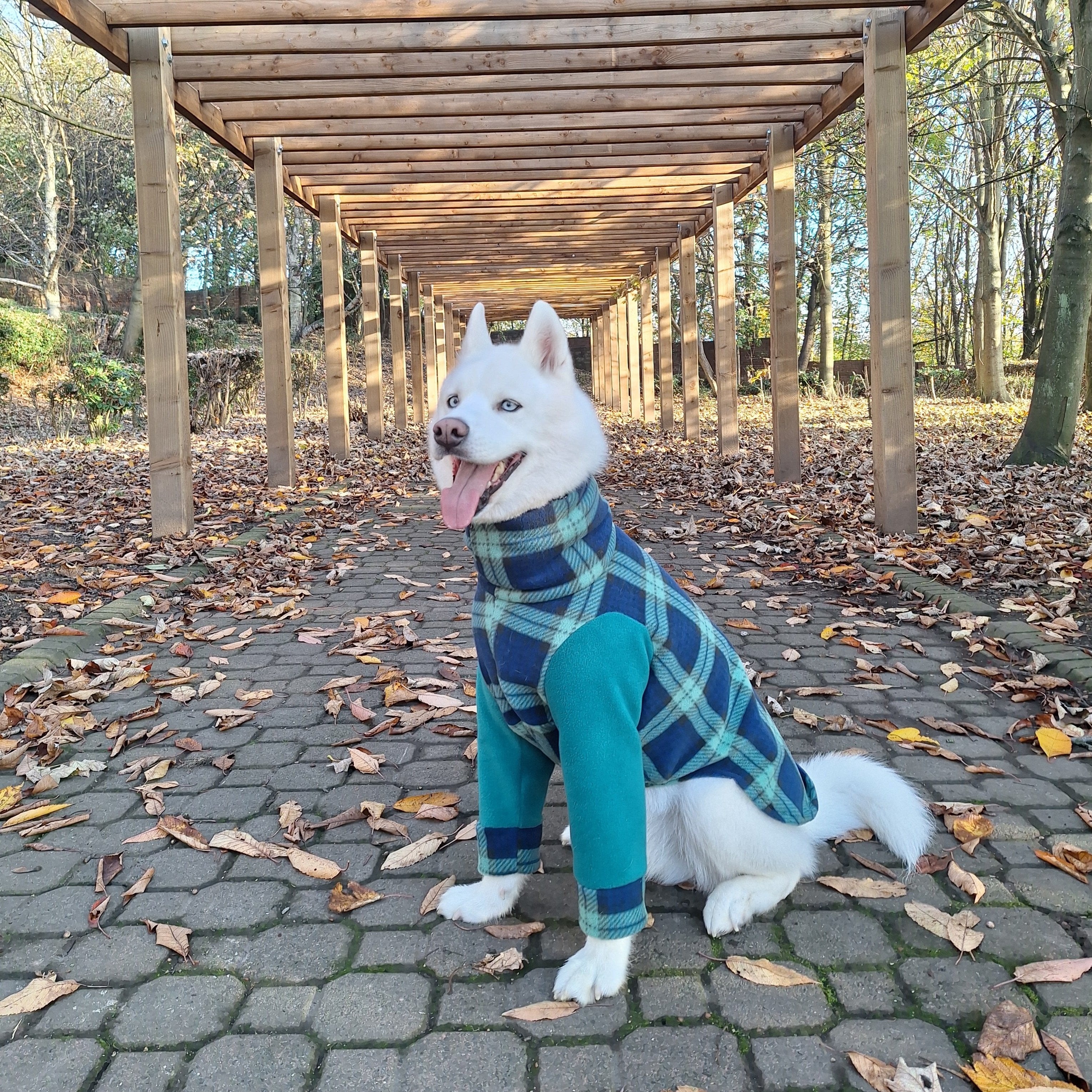 Small Dog Two Leg Water Resistant Dog Fleece