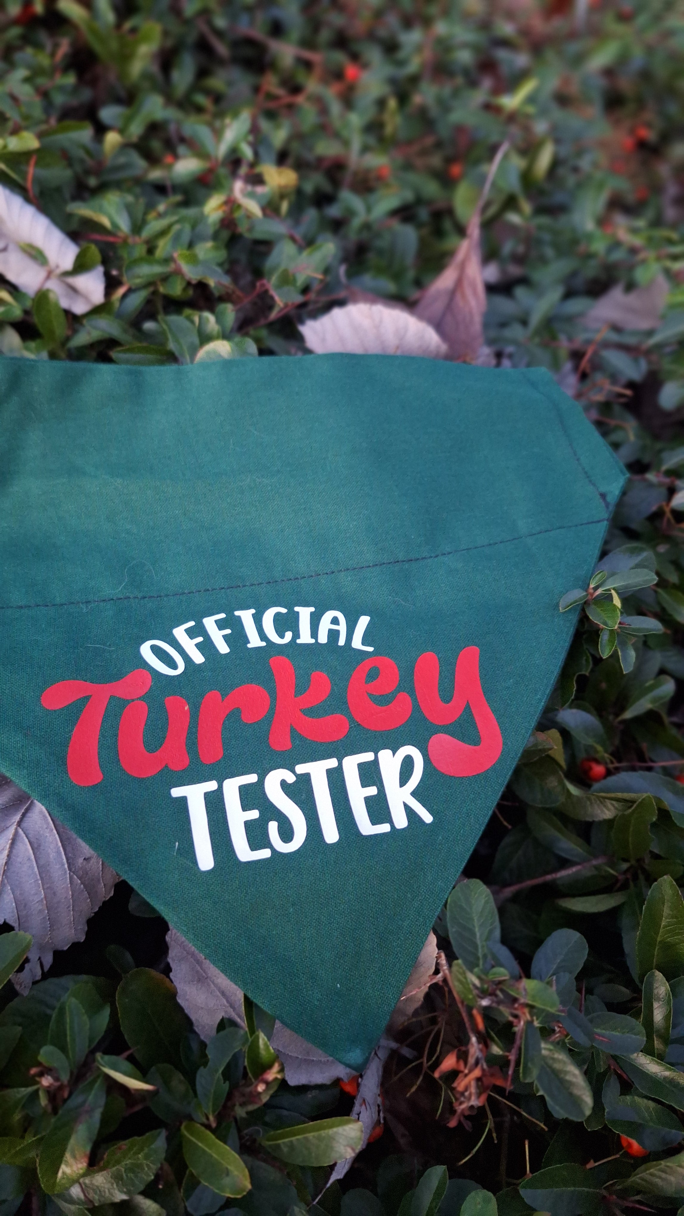Official Turkey Tester Bandana