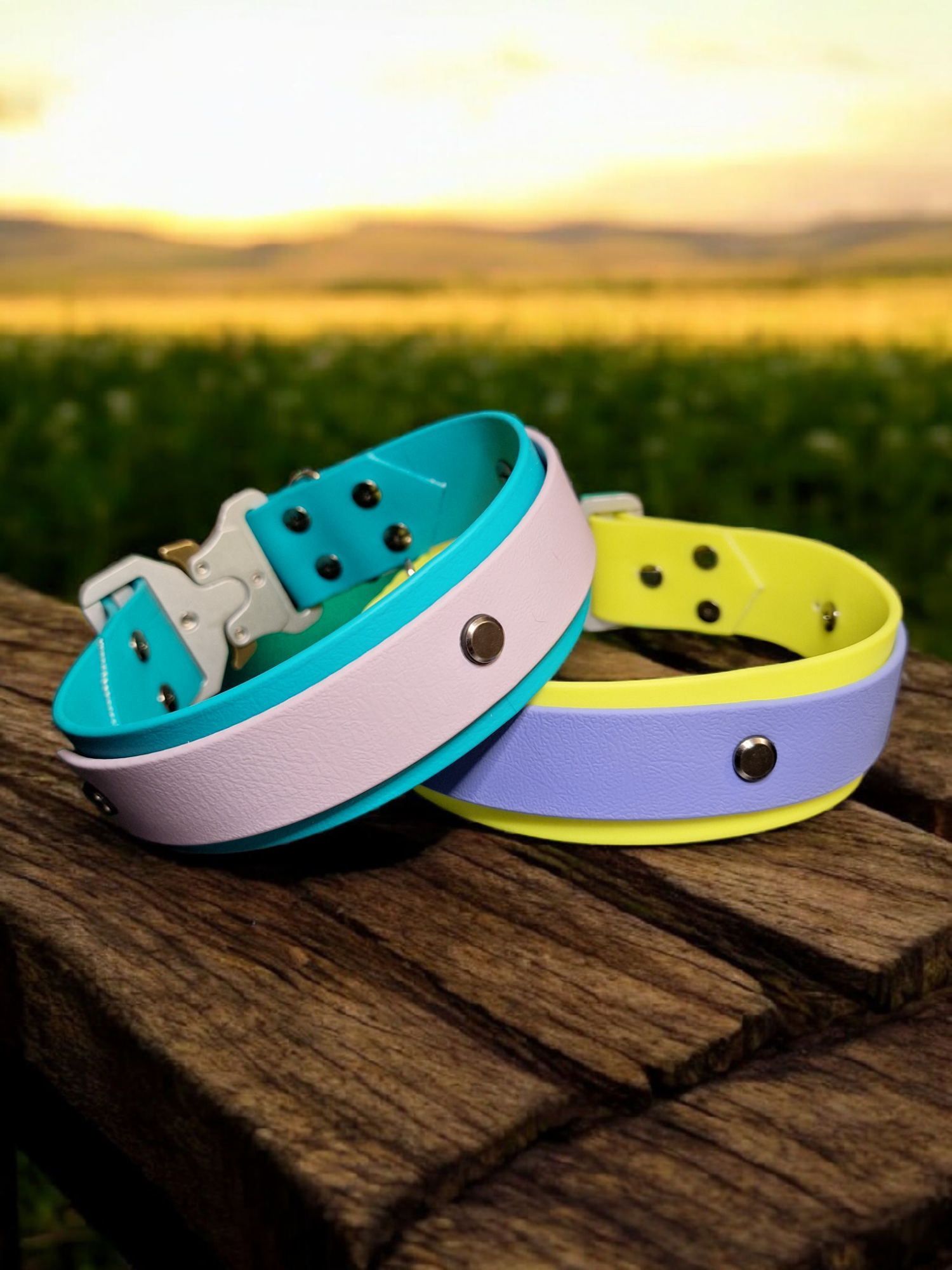 38MM 2 Layer Biothane Collar