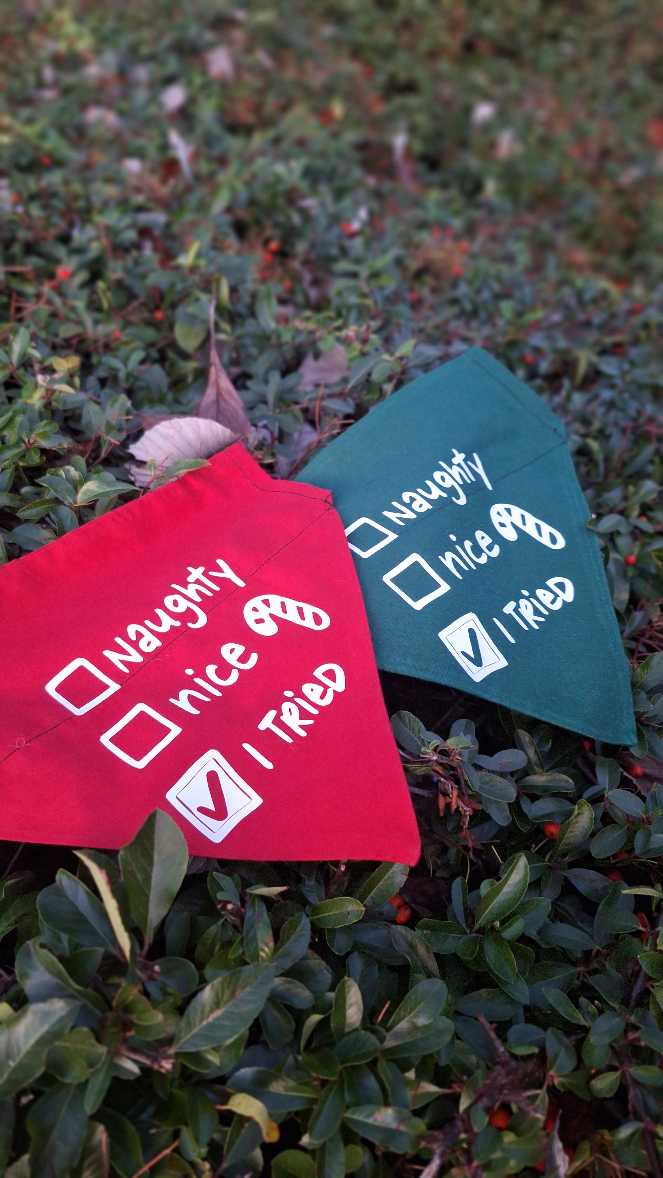 Naughty, Nice, I Tried? Bandana