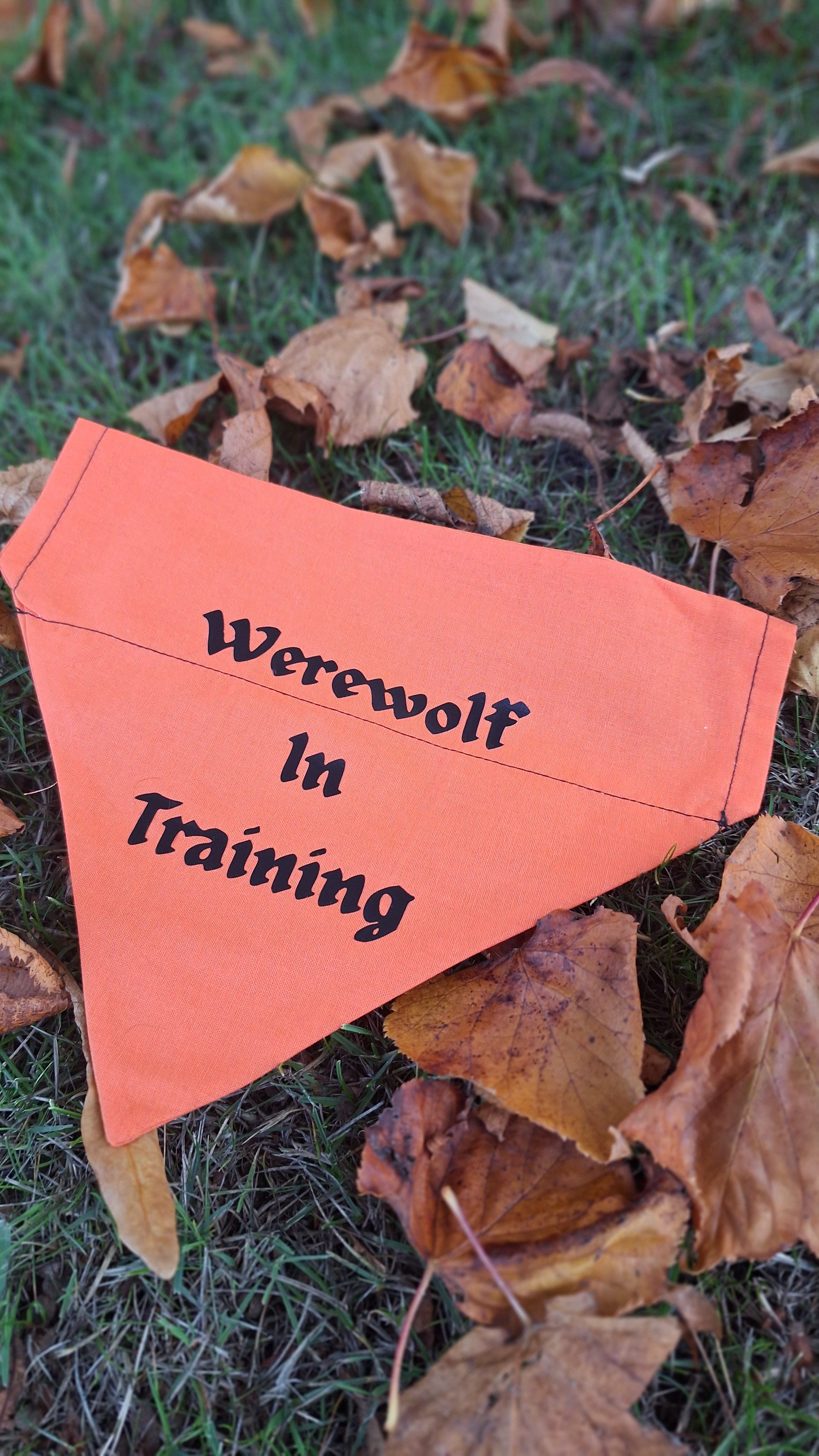 Werewolf In Training Bandana