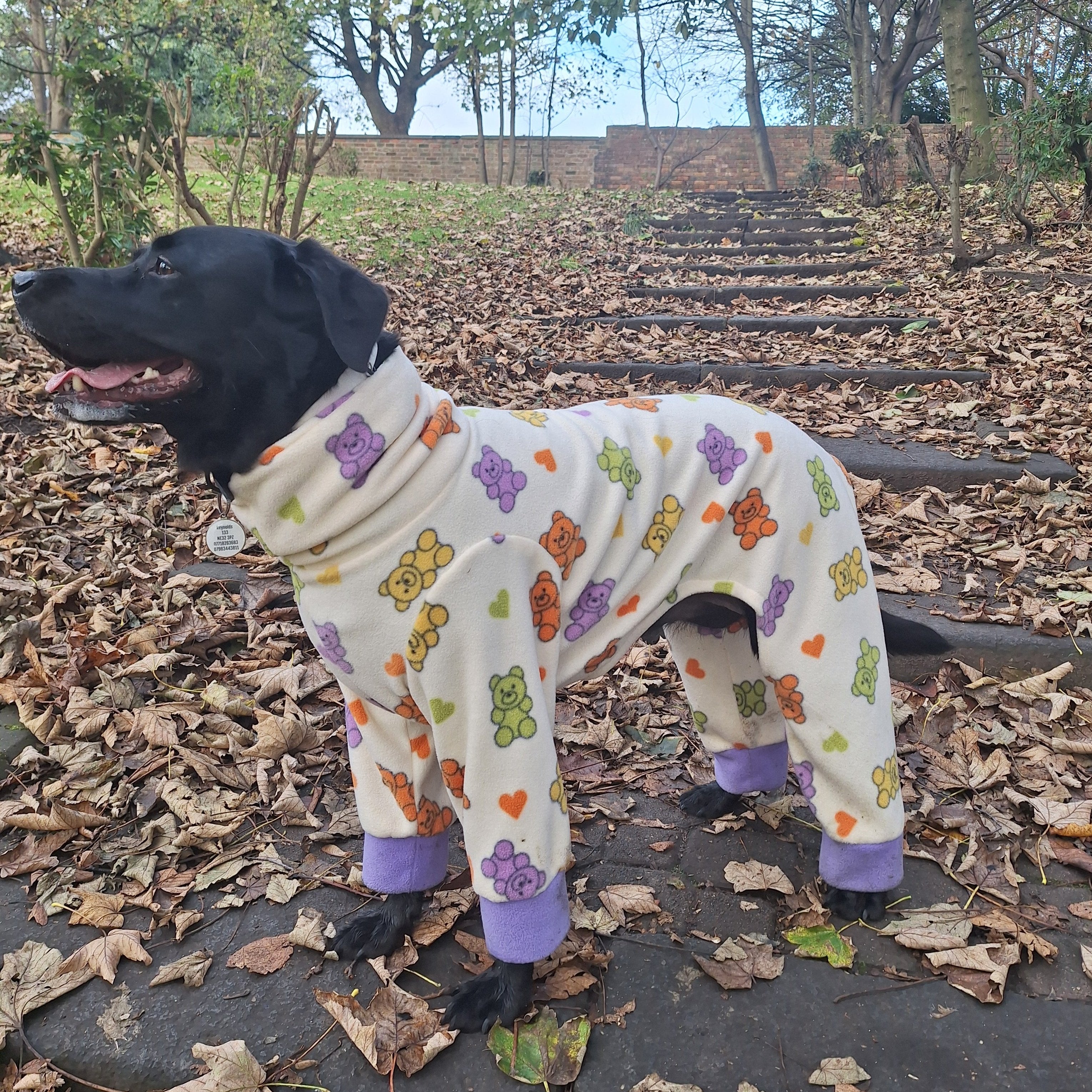 Small Dog Four Leg Water Resistant Dog Fleece